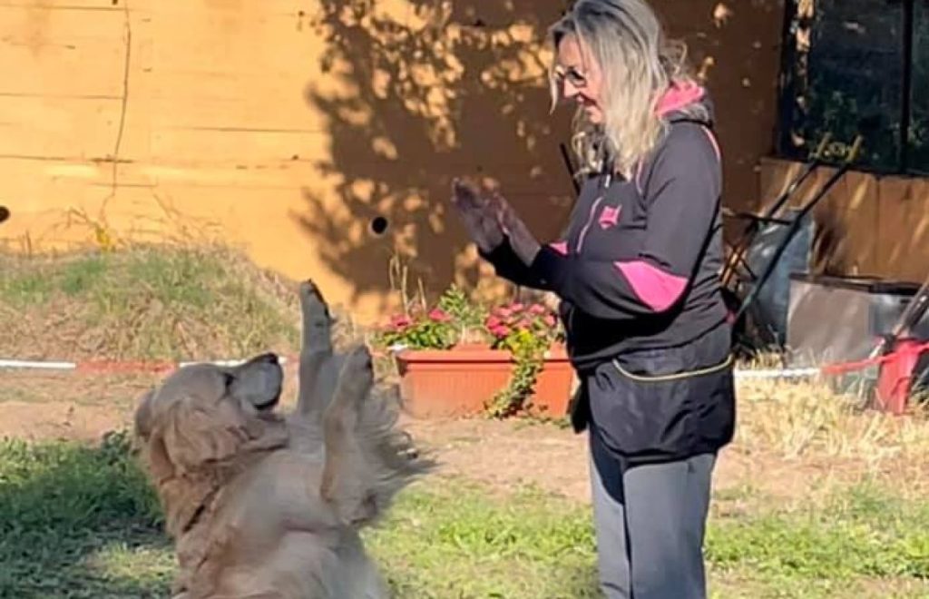 Questa immagine ha l'attributo alt vuoto; il nome del file è cropped-cropped-245827235_10219854417927891_4263020052915203832_n-1024x660.jpg